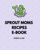 Baby Recipes E-Book (6–8 Months)